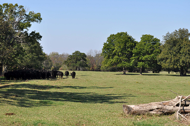 Location of Yonkers Tower Before Its Construction