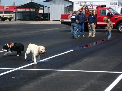 K-9 Search and Rescue Demonstration 2